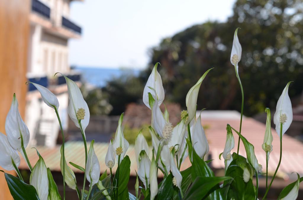 Casa Vacanze Solemar 马奥莱 客房 照片